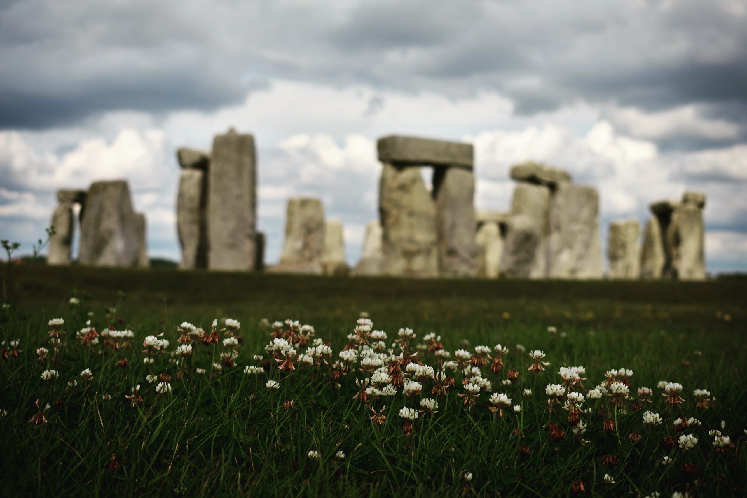 Stonehenge Flowers